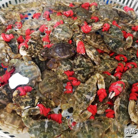 (砍价砍一刀什么意思)砍一刀,感受生活的鲜活之美:探索砍价文化背后的奥秘与乐趣