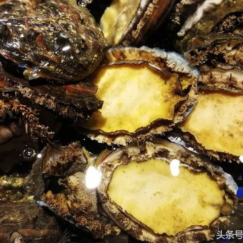 (砍价砍一刀什么意思)砍一刀,感受生活的鲜活之美:探索砍价文化背后的奥秘与乐趣 (砍价砍一刀什么意思)砍一刀,感受生活的鲜活之美:探索砍价文化背后的奥秘与乐趣