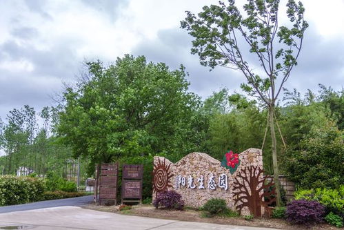 绿梦生态园汕头:一个让您身心放松、感受大自然之美的理想去处 绿梦生态园汕头:一个让您身心放松、感受大自然之美的理想去处