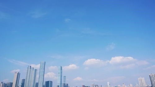 商业都市企业攻略:在竞争激烈的商业都市中脱颖而出的成功秘诀