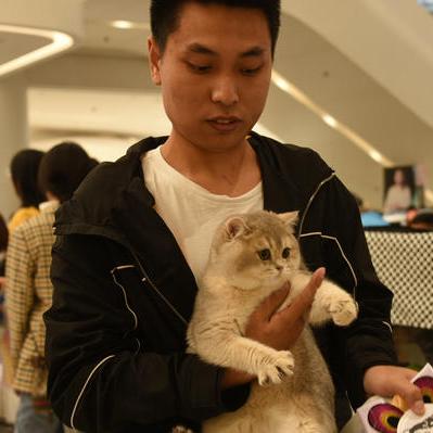 探讨猫咪主题成人最新地域网名取法:以地理文化为创新灵感,打造个性化网络身份标识 探讨猫咪主题成人最新地域网名取法:以地理文化为创新灵感,打造个性化网络身份标识