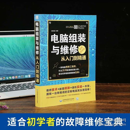 (电脑硬件基础知识教程自学)全面解读:电脑硬件基础知识文档的详细教学及其重要性