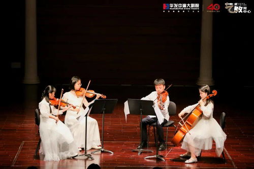 古典乐男子美少年:在优雅旋律中展现青春魅力与艺术才华的独特旅程