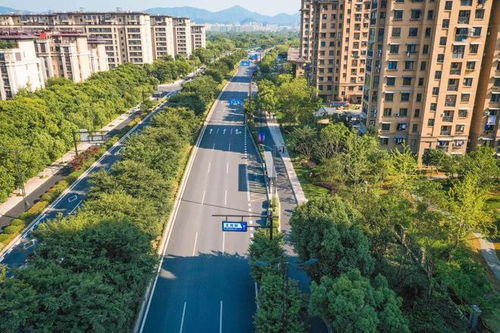 (良田农业科技有限公司)探寻农业革新之路：这城有良田交易平台，诠释现代农业新格局