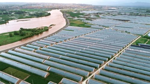 (良田农业科技有限公司)探寻农业革新之路:这城有良田交易平台,诠释现代农业新格局