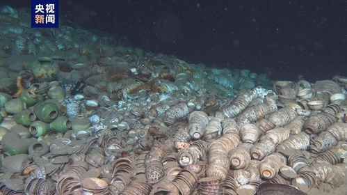 探索深海奥秘，一路收获满满的钓鱼佬1-100集回顾——穿越幽暗深渊，揭秘大海之谜