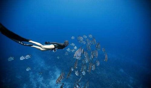 探索深海奥秘，一路收获满满的钓鱼佬1-100集回顾——穿越幽暗深渊，揭秘大海之谜