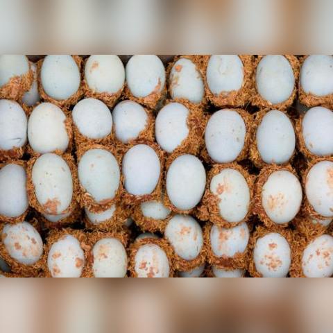 (混乱武侠世界)混沌世界中的武侠英雄:最新武侠放置类手游推荐