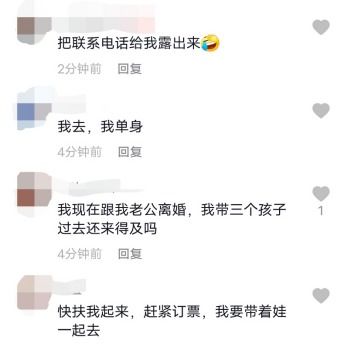 因版权问题引发热议,网剧《萃星物语》为何突然下架?各方反应及影响分析 因版权问题引发热议,网剧《萃星物语》为何突然下架?各方反应及影响分析