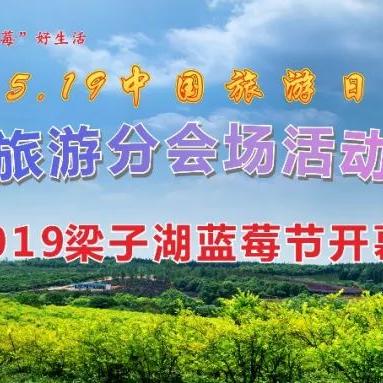 独家揭秘:王蓝莓的烧烤摊,无限钞票免广告,暴利背后的惊人秘密!