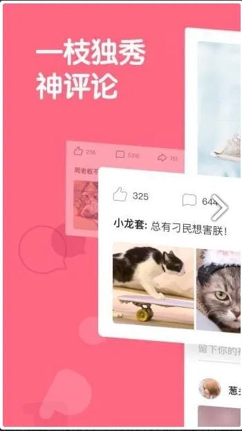 (和皮皮虾界面类似的app)探秘虾皮王国：揭秘与皮皮虾传奇相似的手游