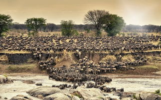 (探寻远古小镇的踪迹:神秘遗迹究竟藏在哪里)探寻远古小镇的踪迹：神秘遗迹究竟藏在哪里？
