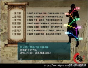 (金庸无双 攻略)金庸无双攻略：探讨哪些武功配合最佳，助你成就武林顶尖高手