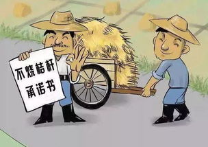 洪荒文明停服了怎么办？如何应对游戏停运带来的挑战与解决方案