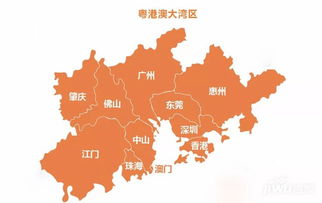 粤港澳大湾区产业联盟：共筑跨境合作新未来，携手共创繁荣发展