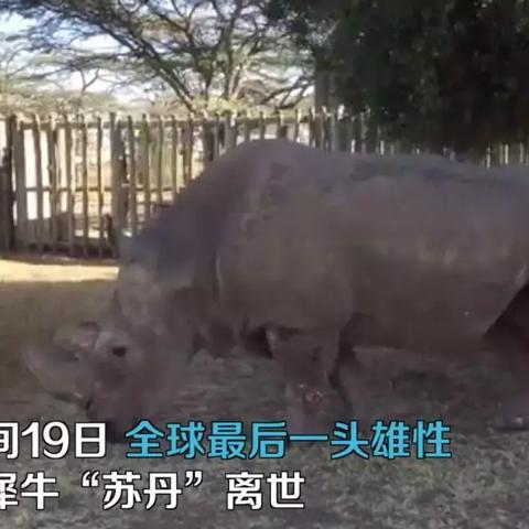 (基因雨风塔攻略)探索基因雨及基因雨风塔的神秘世界：科技与自然的结合之美