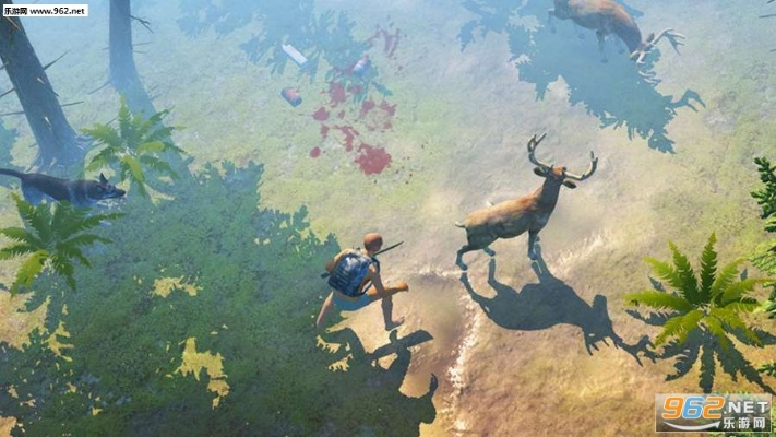 (寻找生存之路)探寻生存之道：SurvivorLsland攻略图解指南