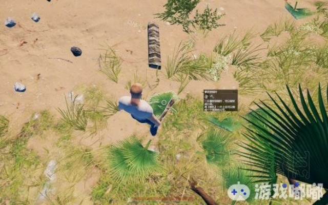 (寻找生存之路)探寻生存之道：SurvivorLsland攻略图解指南