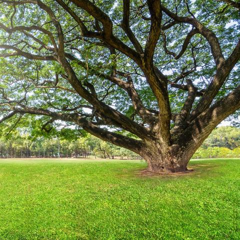 如何学习触摸天空舞蹈？详细解析舞蹈动作，全面教程带你飞跃舞蹈新境界