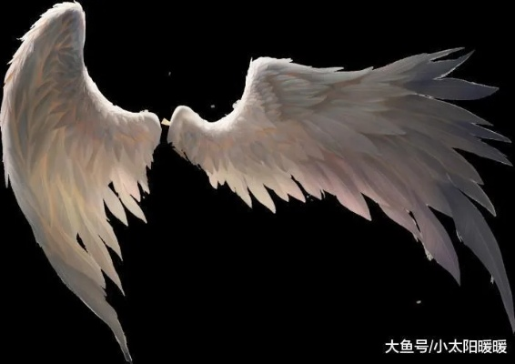 (天使之翼是什么)探寻天使之翼的奥秘：守护者的使命与力量的源泉