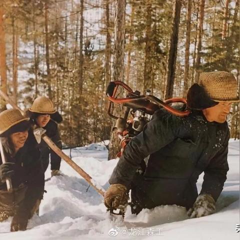 探寻《零下记忆2试玩》的魅力，揭秘游戏内隐藏的惊喜与心得分享