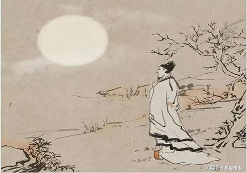 探究古人诗词中的人与自然关系——以'人闲桂花落，夜静春山空'下一句为引导的理解和解读