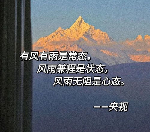 以坚韧不拔的信念挑战人生，品味成功的喜悦，描绘闪闪发光的我500字心韵长篇赏析