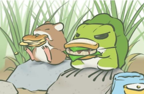 (悲伤蛙叫什么名字)悲伤蛙的创业日记：折相思的漫长征程与无尽辛酸