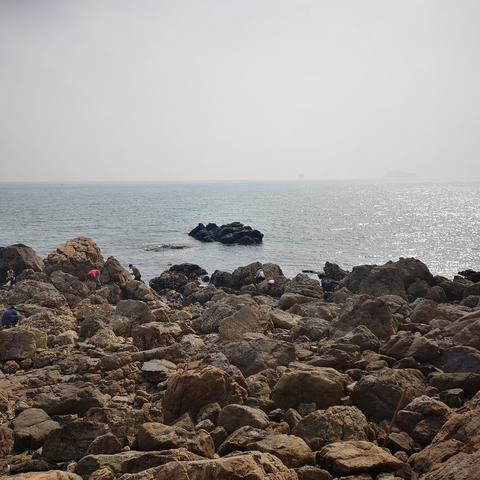 (快乐的一天海边游玩)三年级作文：我快乐的一天——去海边玩的经历描述