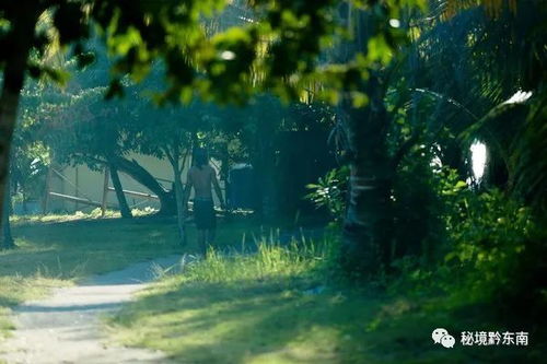 (时光旅人什么意思)时光旅人，探索岁月的秘密与魅力，寻觅永恒的存在和意义。