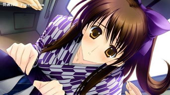 (白色相簿2游戏百度百科)白色相簿2安卓版：山河远阔中的爱情与成长之旅