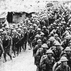 (植物保卫战2玩不了)为什么植物保卫战2无法游玩？可能的原因和解决方法需了解