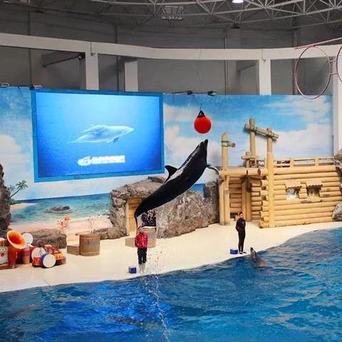 (捕鱼怎么切换账号)捕鱼大咖：多个账号登录技巧分享及注意事项