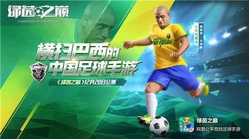 详解国内普遍关注的足球游戏'绿茵之巅'停运原因——政策压力与商业模式困境的双重挑战