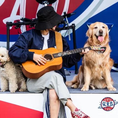 (宠物集结官网)为爱汪星人喵星人：重温那些有名的宠物集结地名称