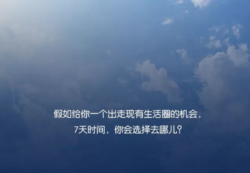 探寻遇已最佳解释，悉心解读心中迷惑