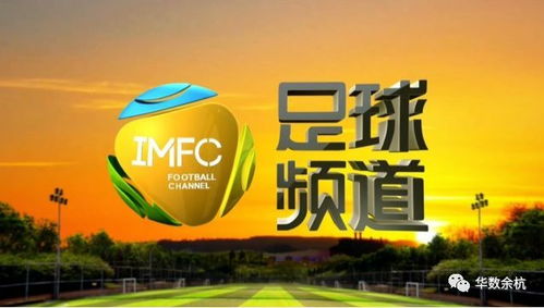 探索数字化体育新趋势：未来足球官方网站助力线上互动与赛事运营