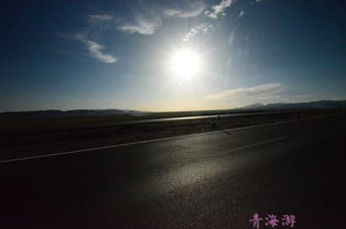 (在城市的喧嚣中拾取一份心灵的宁静)在城市喧嚣中寻找心灵的栖息地——家园何处是我们的归宿