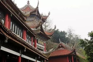 (在城市的喧嚣中拾取一份心灵的宁静)在城市喧嚣中寻找心灵的栖息地——家园何处是我们的归宿