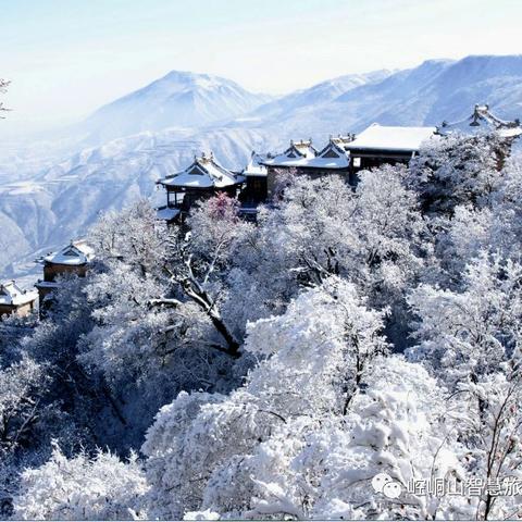 (雪中回眸古代言情小说)雪中回眸，诗意绝美，如同古言作者笔下的意境绮丽