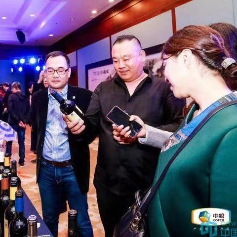 深入探索'进化之地2'安卓免费汉化版：游戏内容概述、功能特点与玩家人物进化体验分享