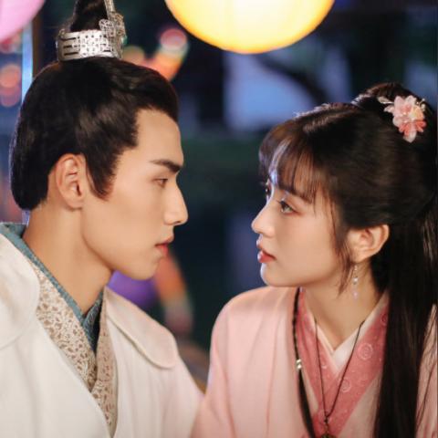 (萌宠商店)探索萌喵宠物店的乐趣：打造梦幻电脑游戏体验