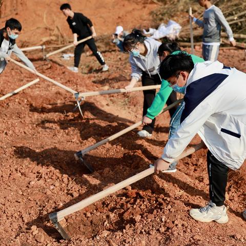 (未来农场的基础设施)探索未来农业发展趋势：模拟农场2025的新挑战与机遇