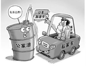 (我自有我道)我自为道怎么停运了？探究自私自利行为的影响与原因