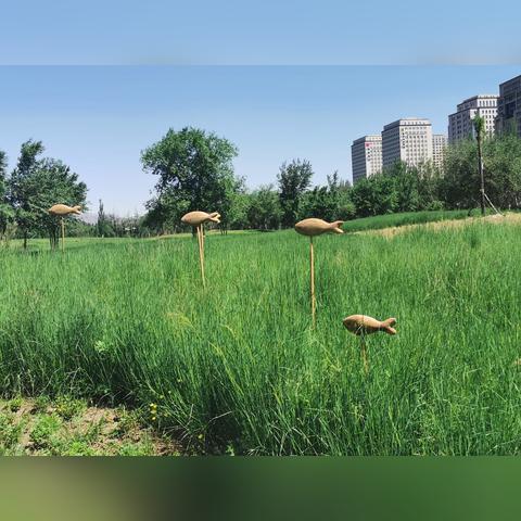 探索海底世界：小鱼探险记网站打造寓教于乐的儿童海洋科普新平台