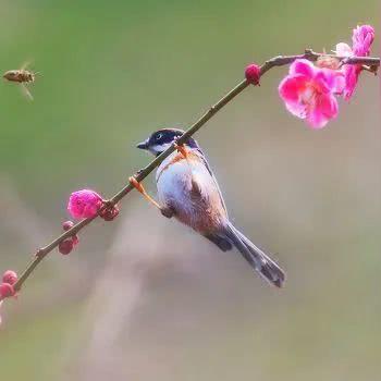 (如果能够早点回家)如果你渴望早点回家，这份攻略将助你顺利通关所有关卡
