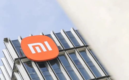 (小米2021年3月)小米2024年Q3现金储备显著增长，未来发展战略受益将更加明显