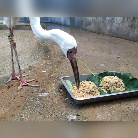 (虫虫大作战2破解版中文版下载)虫虫大作战2小程序破解版：带你探索无限可能的游戏世界