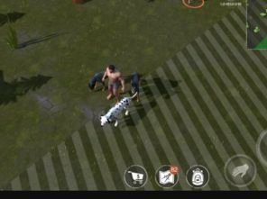 (废土上探索五个位置)探索废土行动怪物肉块获取方式：分享实战经验与策略应对挑战