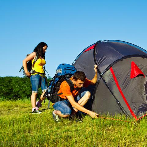 详解版：荒野冒险游戏全攻略，精准指明关卡突破与角色提升技巧